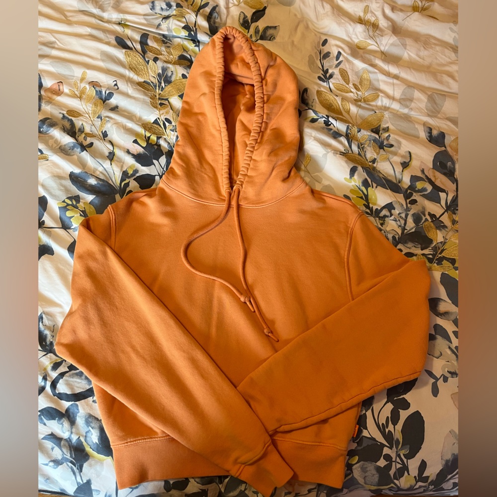 ARITZIA- TNA Hoodie
